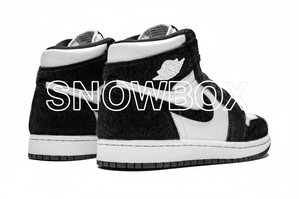 SnowBox x JF 1 SHOES