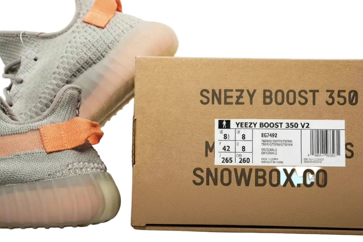 SnowBox x YE*ZY 350 Boost