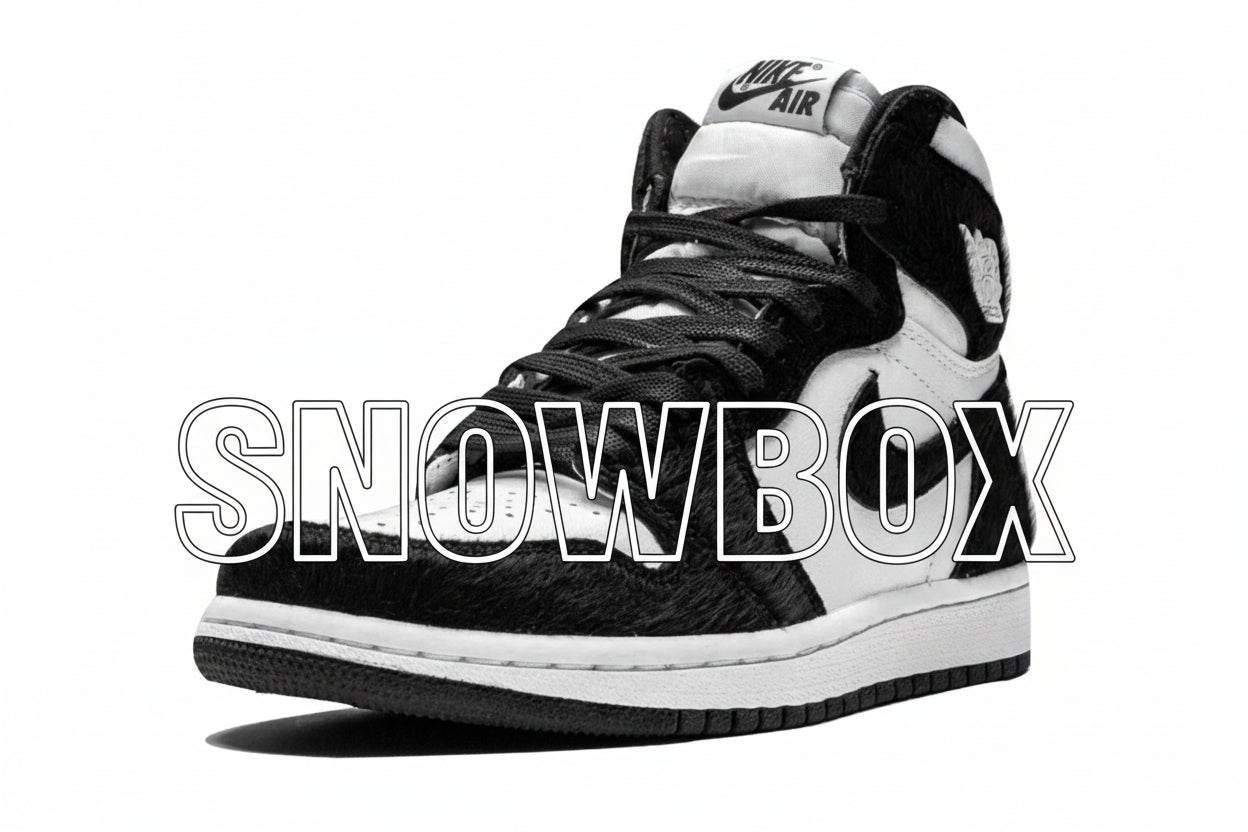 SnowBox x JF 1 SHOES